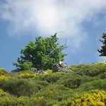 Bed & Breakfast Le Relais De Rochepaule